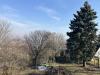 Elad�, �d�l�telek,Szentendre