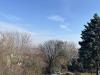 Elad�, �d�l�telek,Szentendre